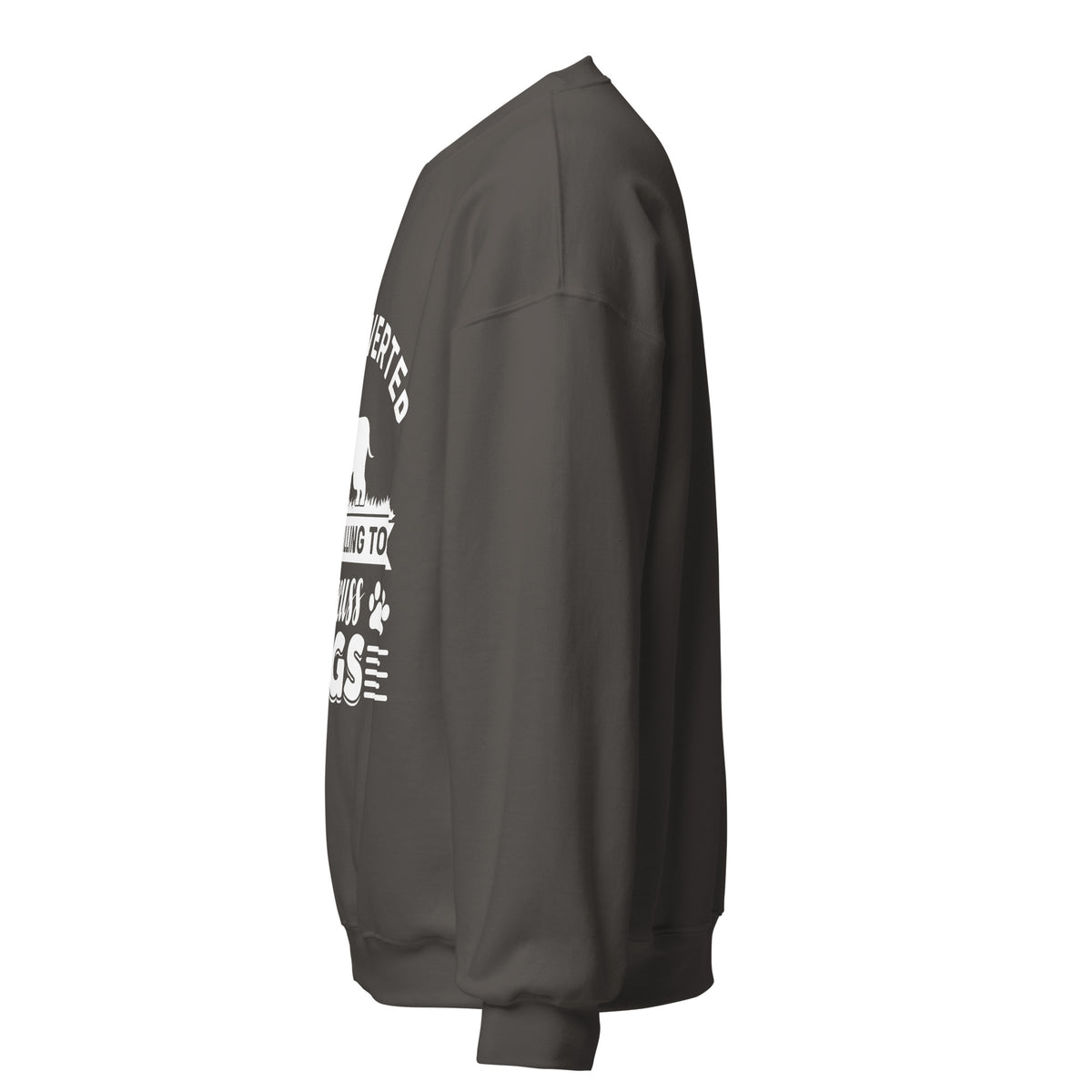 Side view of a sweatshirt in Charcoal with part of the white dog-themed chest print visible