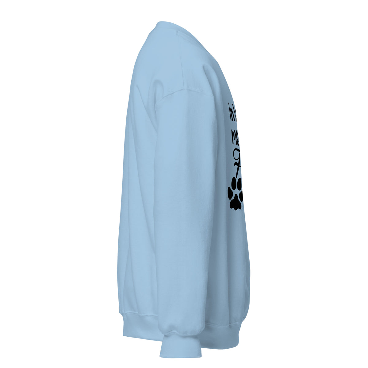 Side view of a sweatshirt in Light Blue with part of the memorial chest print visible