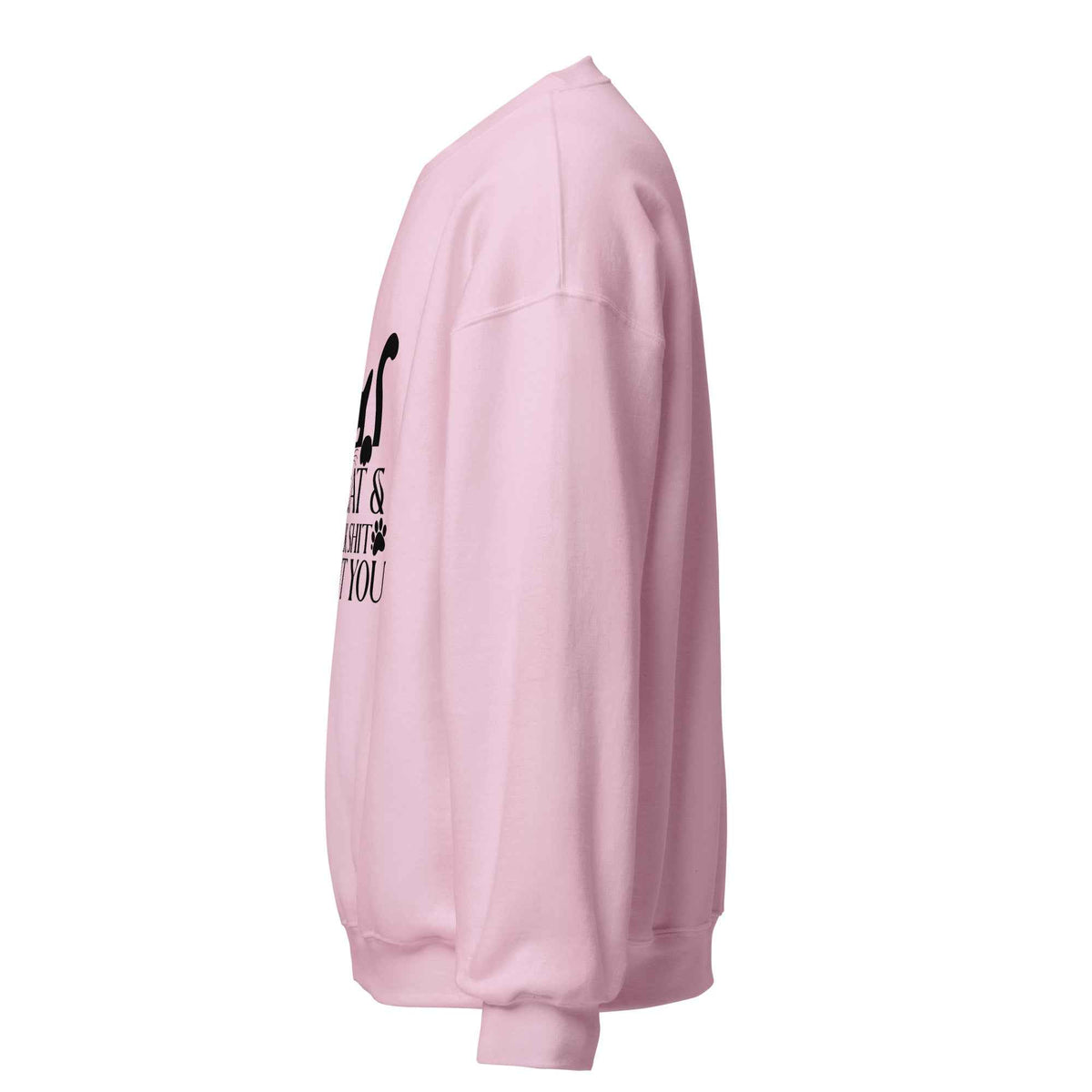 My Cat & I Talk Shit About You Sweatshirt