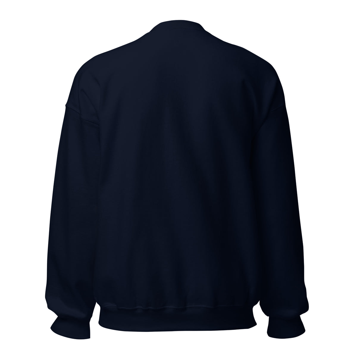 Plain back of the Introverted But Willing to Discuss Dogs sweatshirt in Navy
